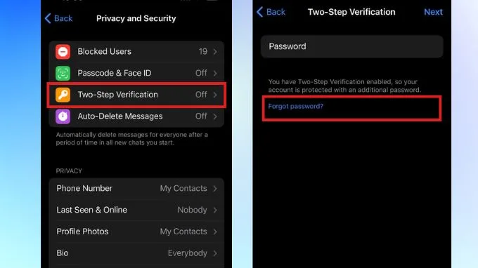 Bạn vào Xác minh 2 bước và chọn Forot Password
