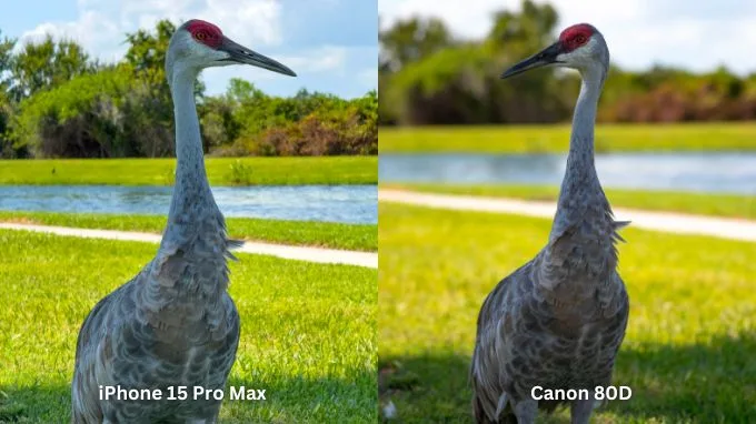 Ảnh chụp zoom 5x bằng iPhone 15 Pro Max và Canon EOS 80D