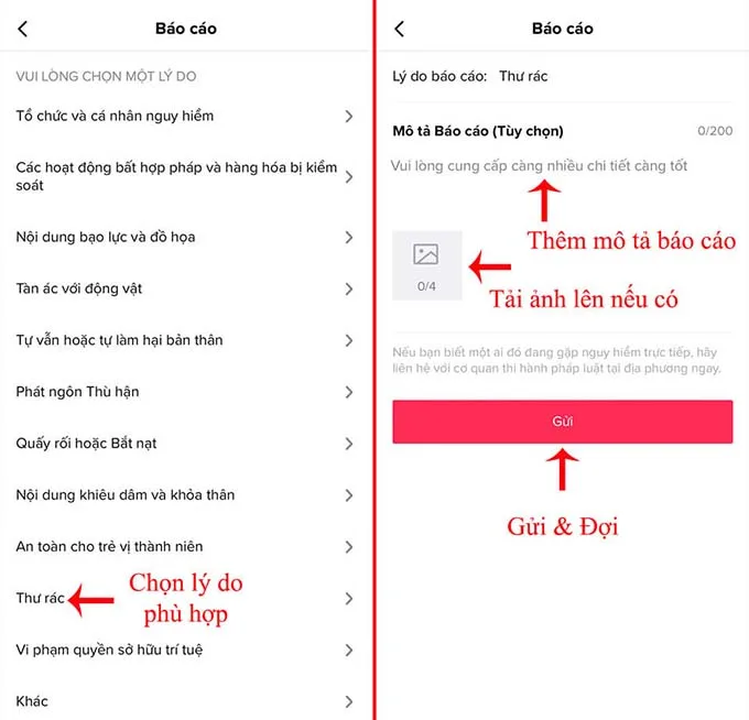 Cách báo cáo video trên TikTok