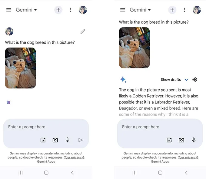 Trò chuyện với Gemini bằng hình ảnh