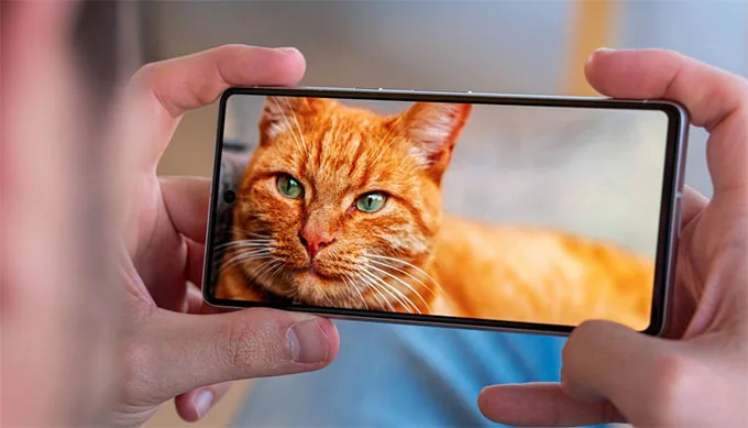 Màn hình Google Pixel 7 sử dụng tấm nền OLED 6.3 inch