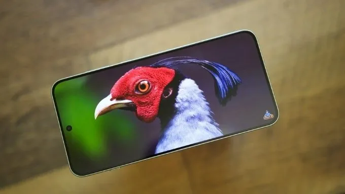 Màn hình OnePlus 15R