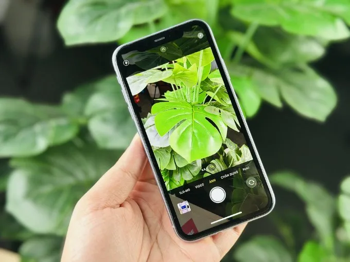 iPhone 11 256GB Cũ (Trầy Đẹp) hệ thống máy ảnh chuyên nghiệp