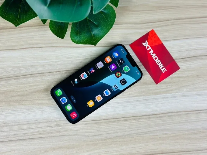 Màn hình iPhone 13 Pro Max 1TB Cũ (Trầy Đẹp)