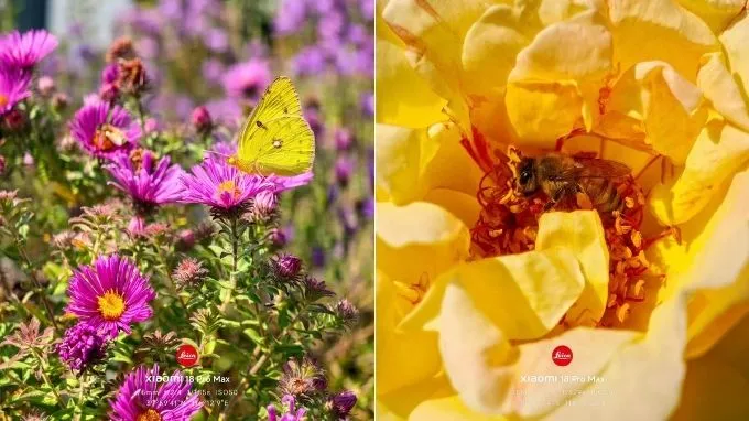 Ảnh chụp từ camera Xiaomi 18 Pro Max