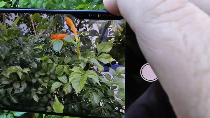 Chế độ chụp Macro trên camera iPhone 16 Pro