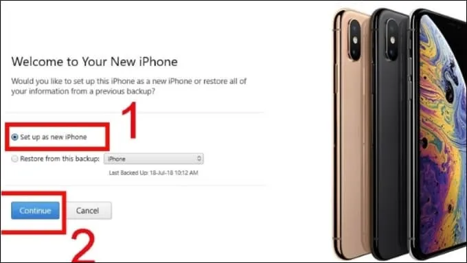 iTunes sẽ hiển thị các tùy chọn như Set up as New hoặc Restore from Backup