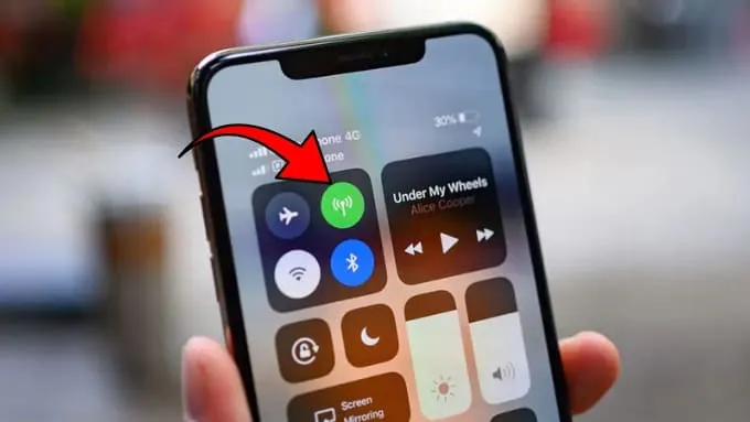 Kiểm tra mạng di động trên iPhone