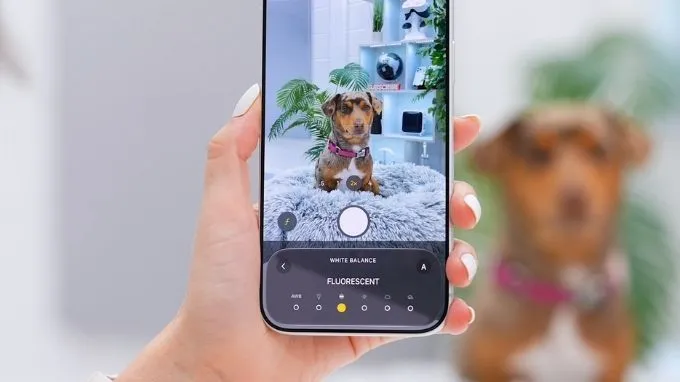 Mẹo tùy chỉnh cân bằng trắng trên iPhone 18 Pro