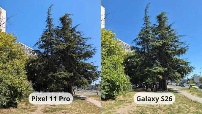 Camera chính 50MP trên Pixel 11 Pro sử dụng cảm biến 1/1.3 inch