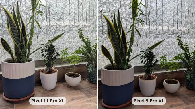 So sánh Google Pixel 11 Pro XL và Pixel 9 Pro XL về ảnh chụp