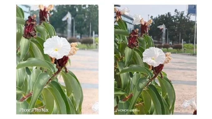 So sánh Honor 600 Pro vs iPhone 17 Pro Max về ảnh chụp