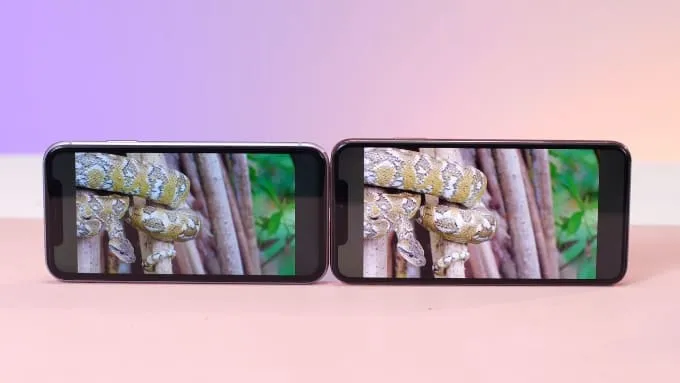 iPhone 11 được trang bị màn hình Liquid Retina IPS LCD