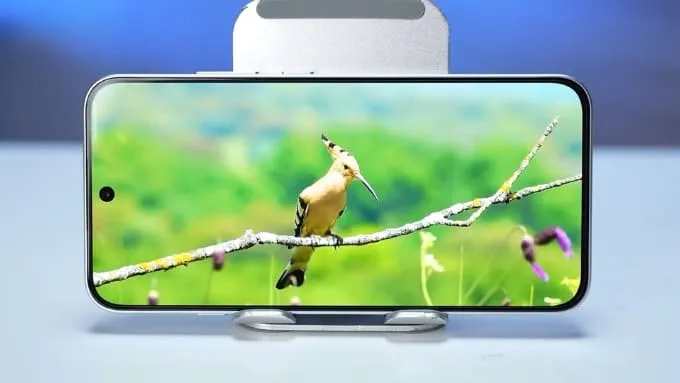 So sánh OPPO Reno16 F vs Xiaomi 17T về màn hình