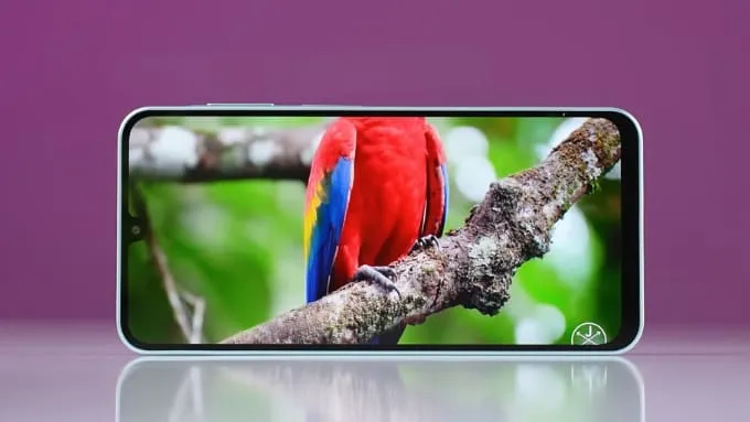Cả 2 đều được trang bị tấm nền Super AMOLED 6.7 inch